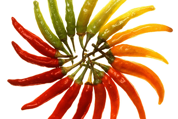 peperoncino